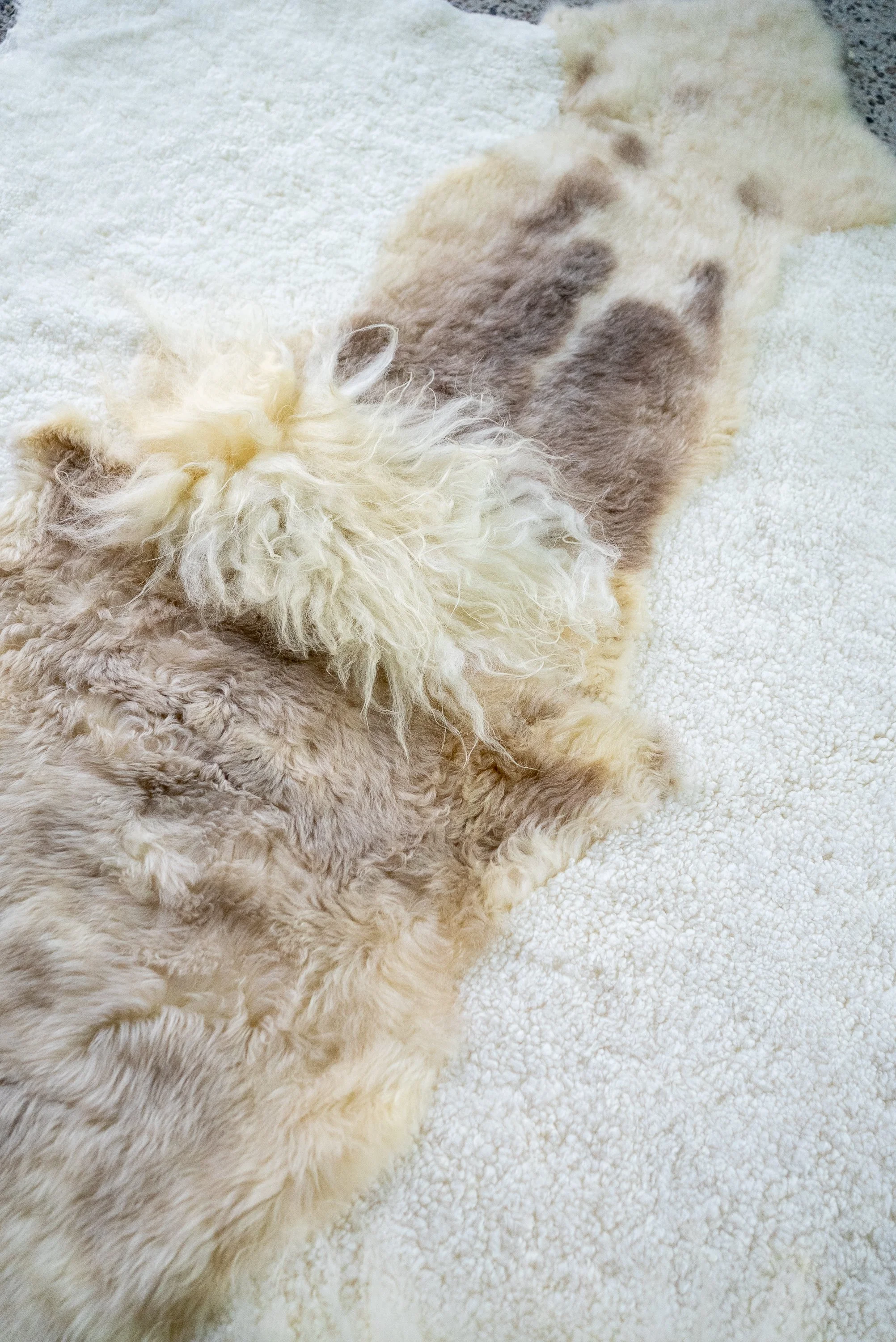 cutie-sheepskin-rug (8).jpg