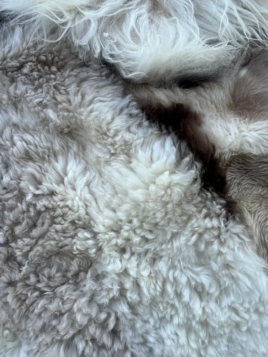 Poppy Puff by Wol Society, an ivory patchwork sheepskin rug with taupe spots and brown-edged pelts