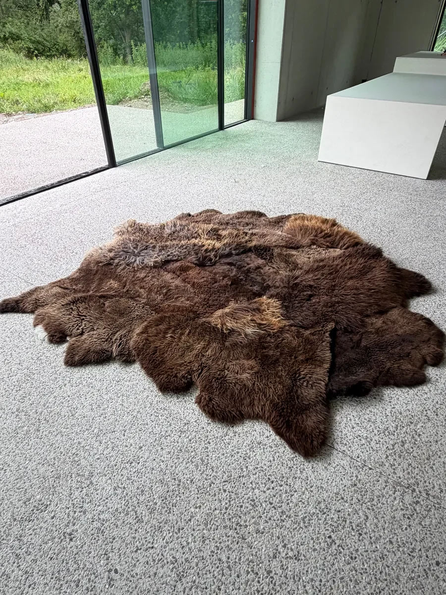 Kai by Wol Society, an ivory and cream sheep skin rug with long, gently wavy fleece