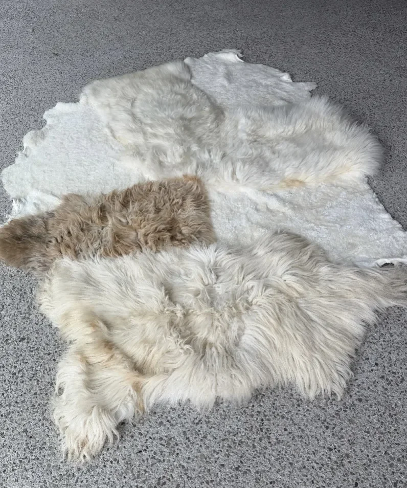 Yuto by Wol Society, a creamy white sheepskin rug with one sandy taupe pelt
