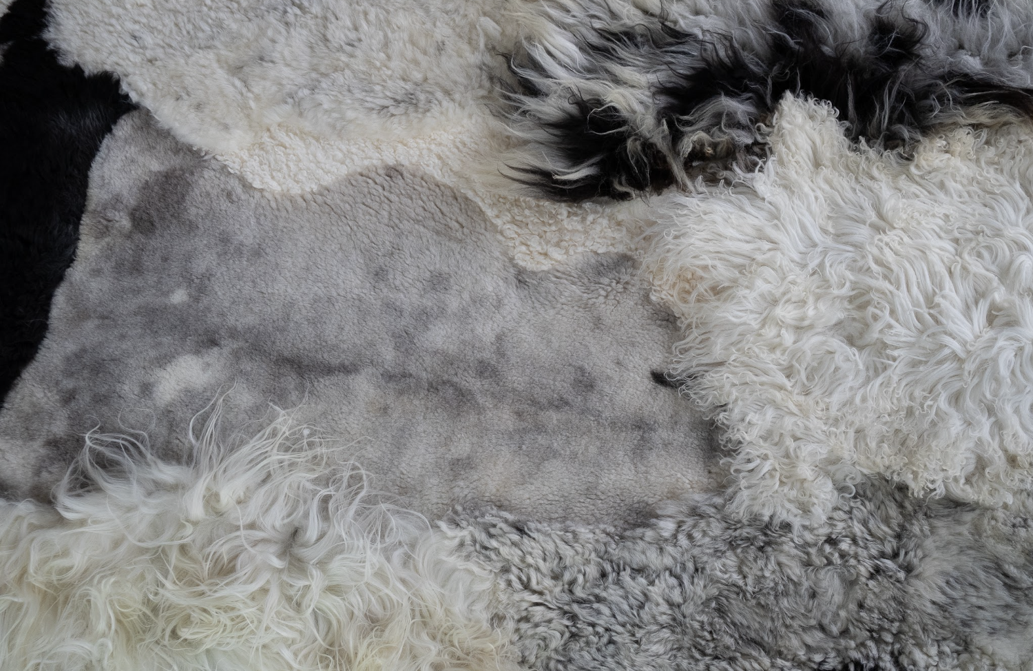 Bohdi by Wol Society, a black and white patchwork sheepskin rug with a smooth dove-grey center