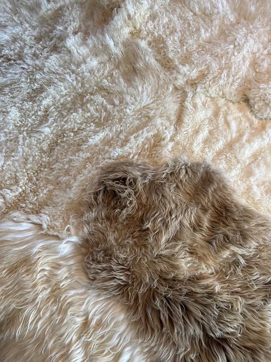 Prulleke by Wol Society, a large creamy ivory sheep skin rug with an oval taupe-brown pelt