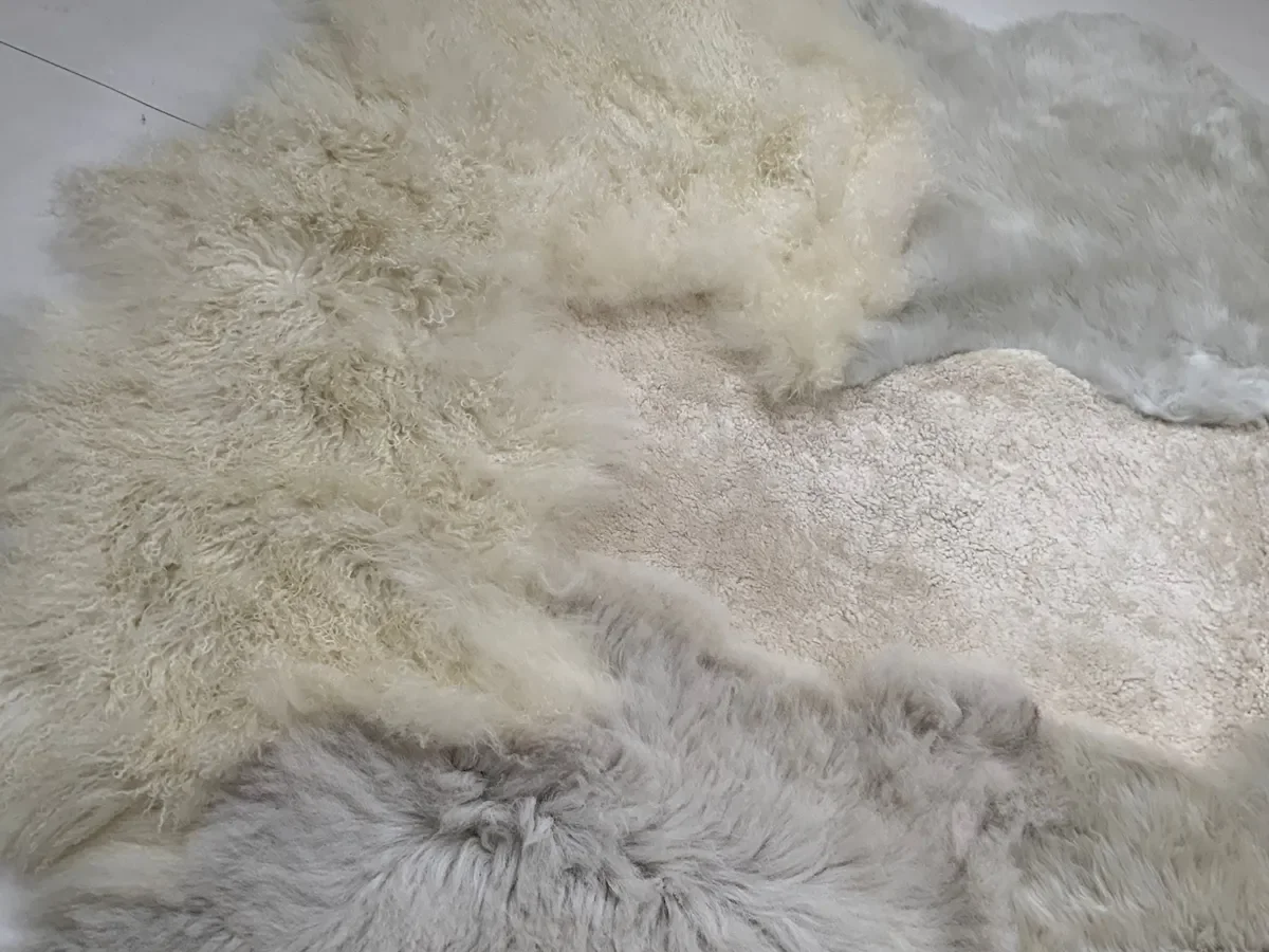 Magnolia by Wol Society, a cream and dove grey sheepskin rug with curly and smooth pelts