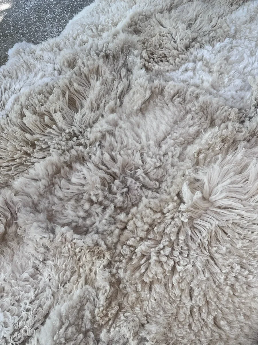 Odette by Wol Society, a curly ivory Heidsnucke sheep skin rug with dense locks