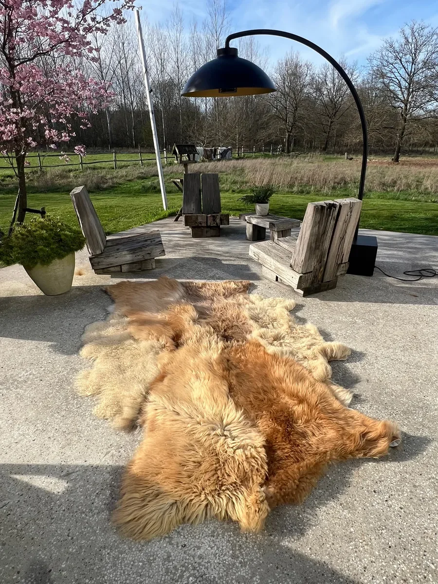 Punch by Wol Society, a golden honey and caramel sheep skin rug with lighter sandy pelts