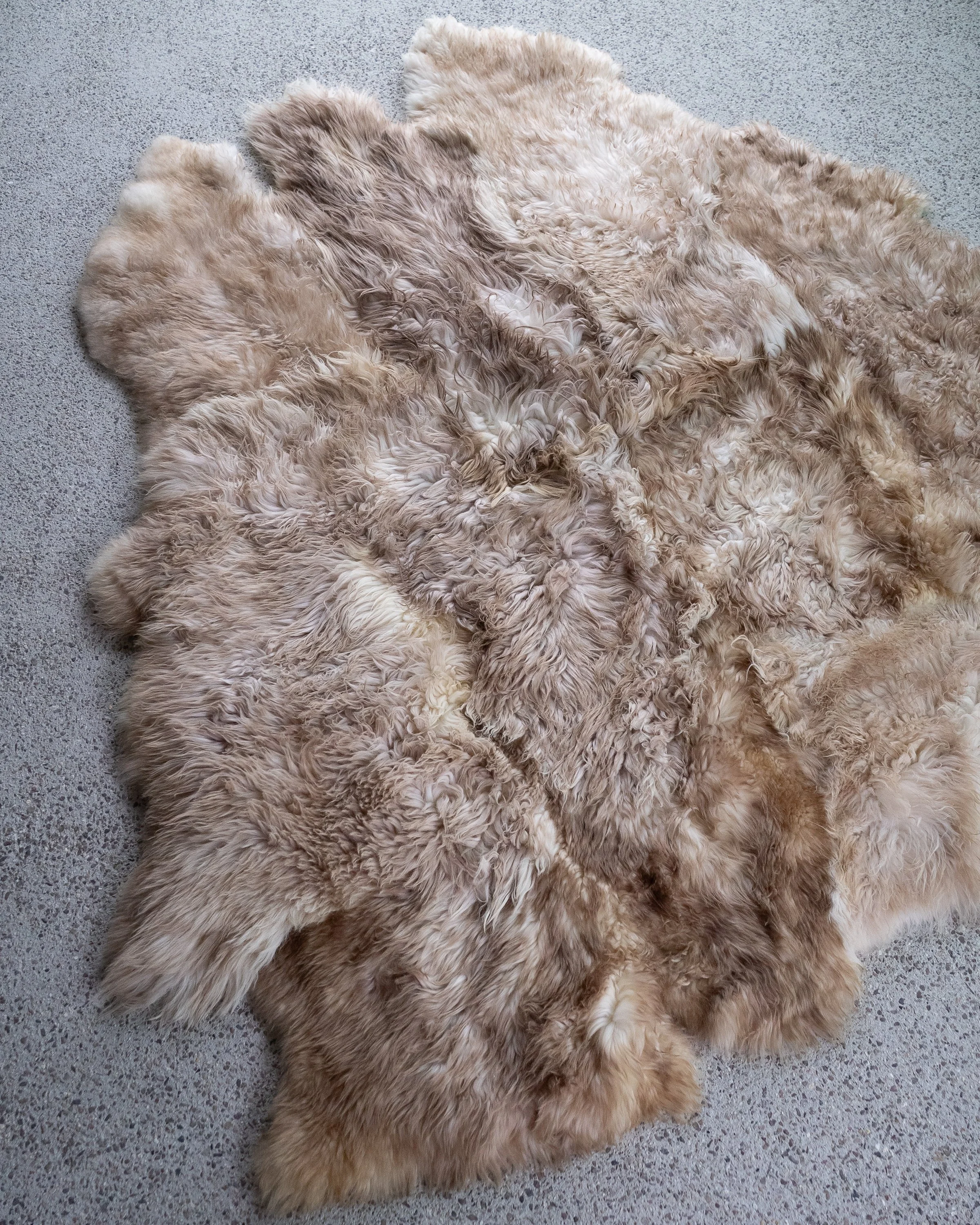 baaa-bara-sheepskin-rug (5).jpg