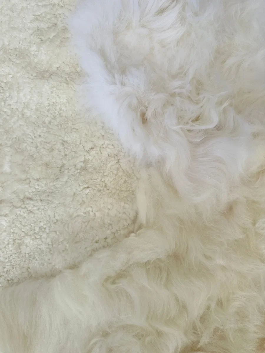 Mieke 193 by Wol Society, a large white sheepskin rug with fluffy fleece from end to end