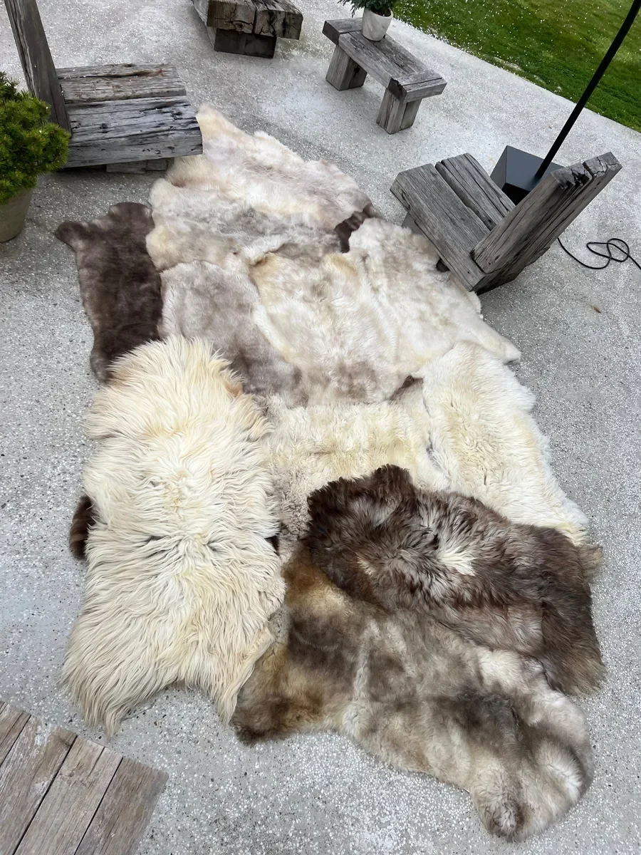 Willow by Wol Society, a giant creamy taupe Icelandic sheepskin rug with long, voluminous wavy curls
