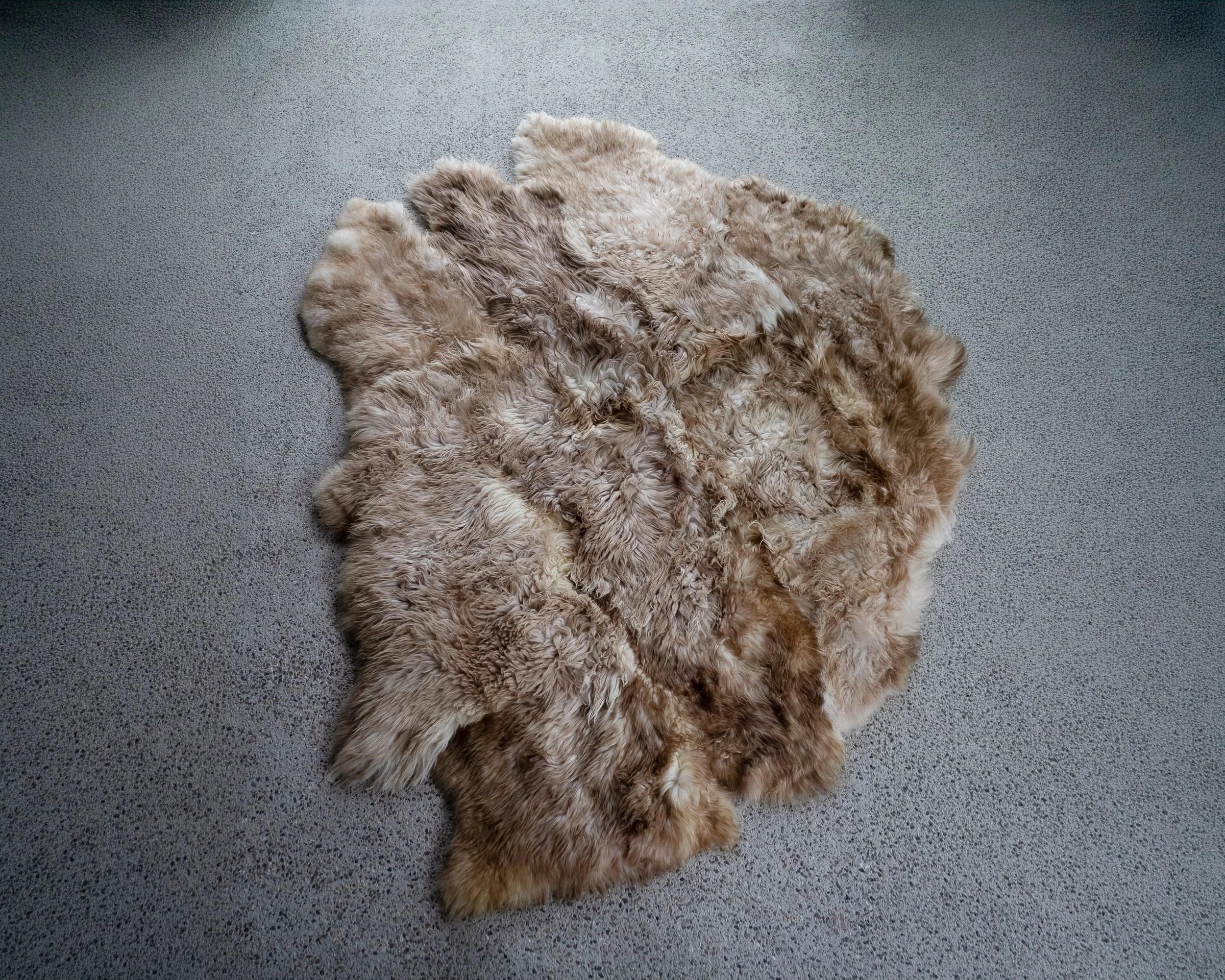 baaa-bara-sheepskin-rug (3).jpg