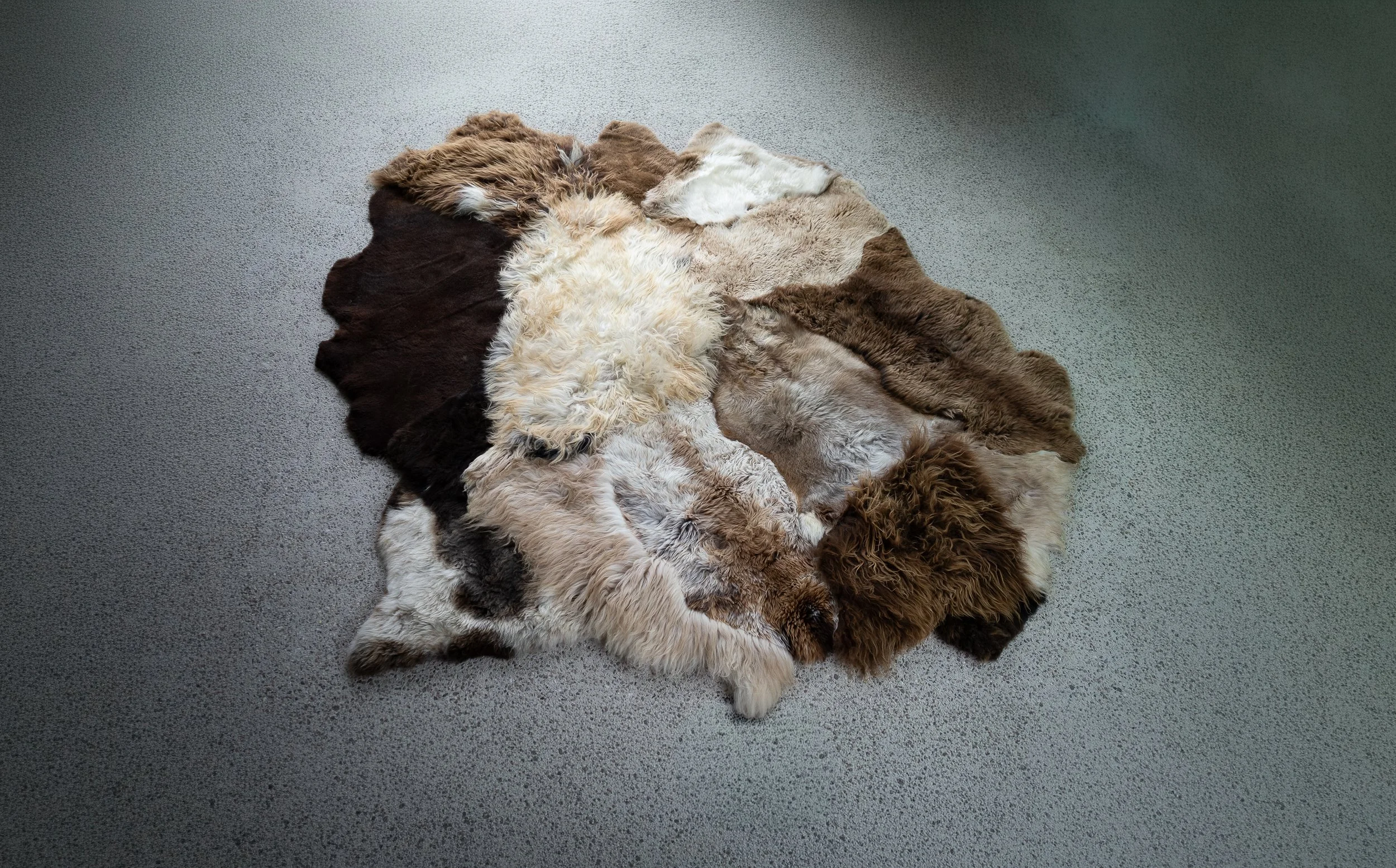 Breezy by Wol Society, a patchwork sheepskin rug in chocolate, taupe and frosted grey with one brown-and-white pelt