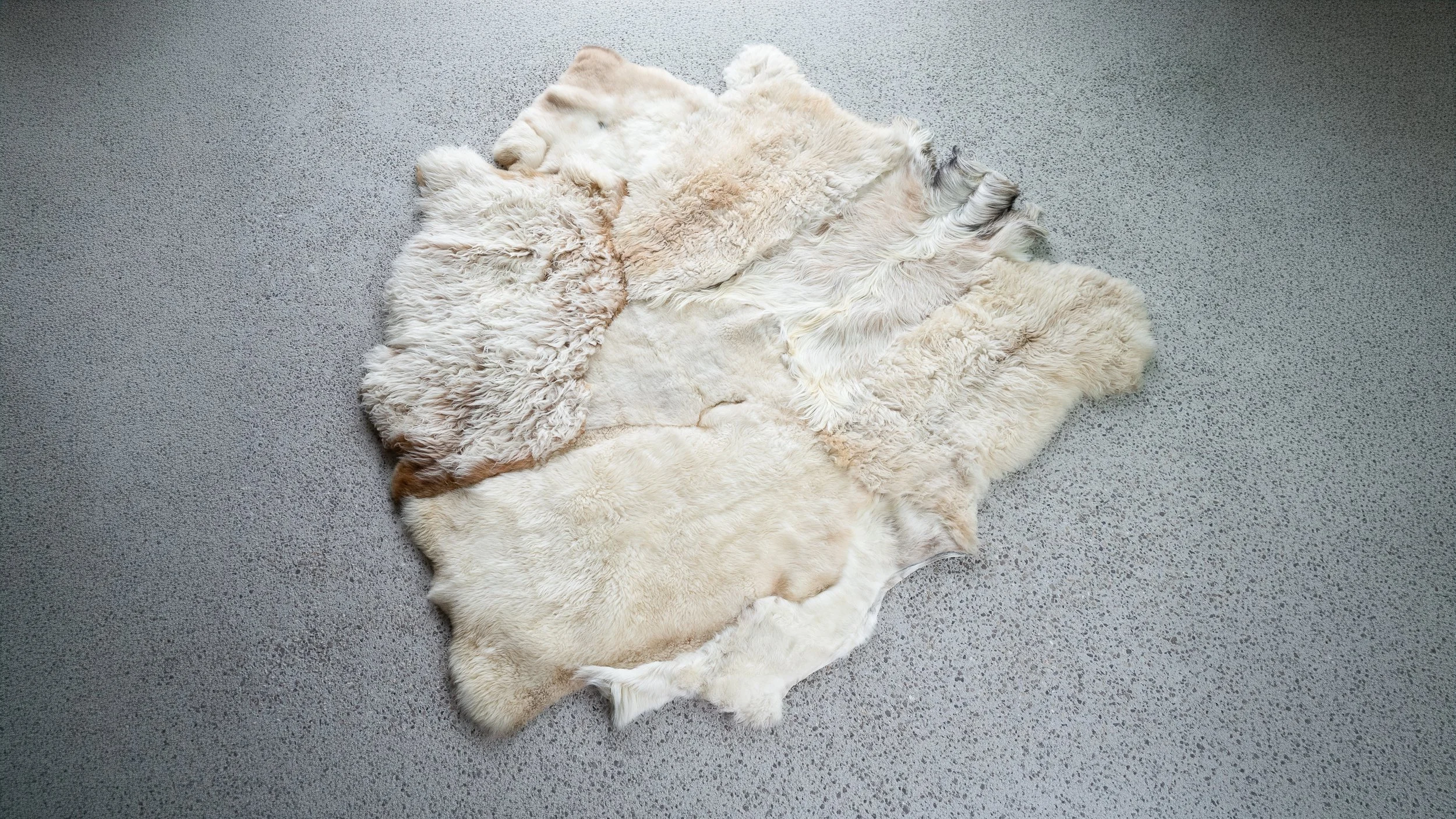 alfie-grey-white-sheepskin-rug (2).jpg