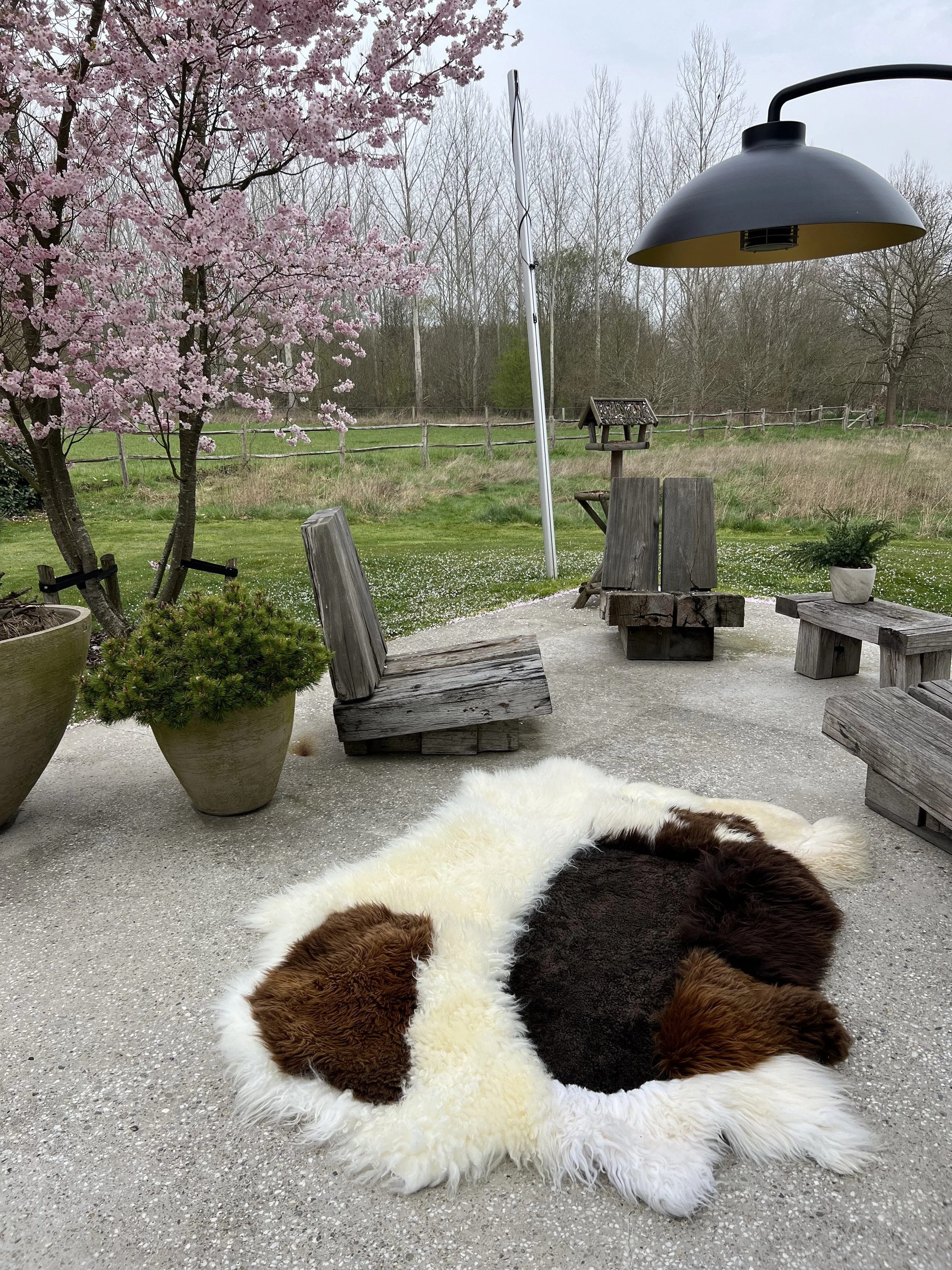 Buddy by Wol Society, a creamy and brown sheepskin rug with a balance of creamy ivory, espresso, chocolate, and chestnut colored pelts.