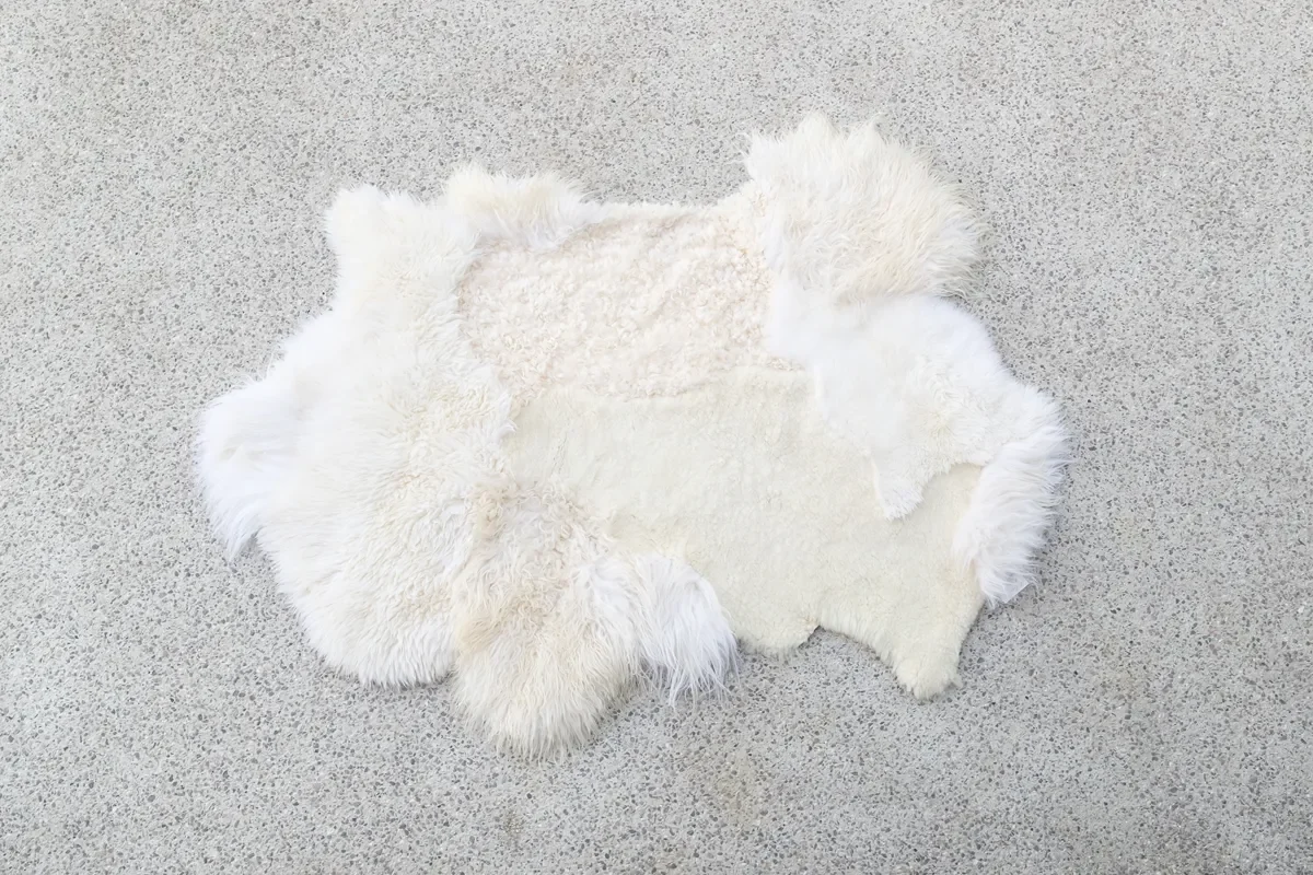 Bloom by Wol Society, an ivory sheep skin rug with a curly center and fluffy edges