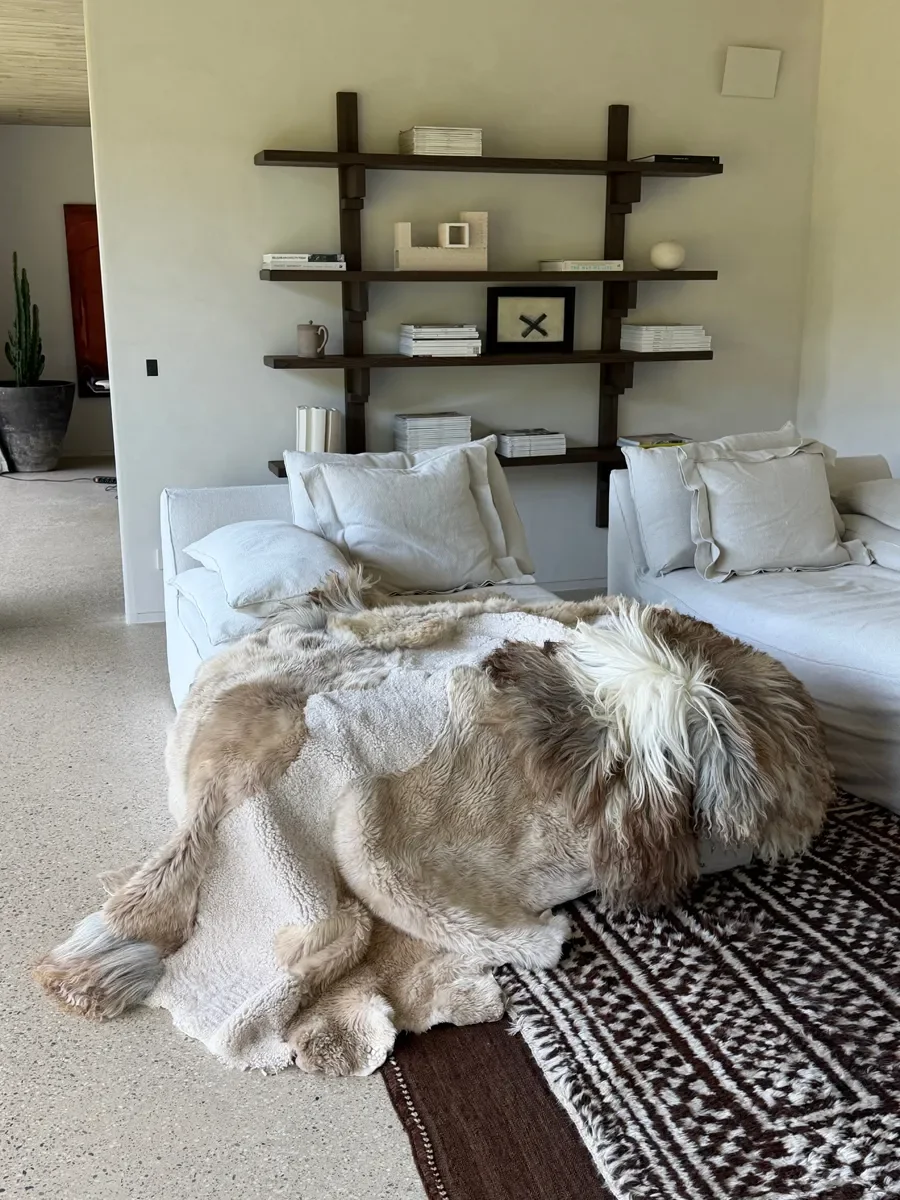 Noodles by Wol Society, a taupe and cream sheep skin rug with a smooth ivory center and a shaggy grey-brown pelt