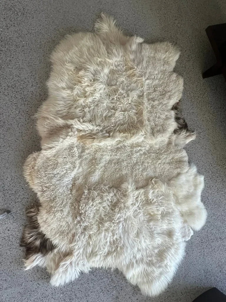Gabin by Wol Society, a creamy white sheepskin rug with gently wavy fleece and a hint of dark brown