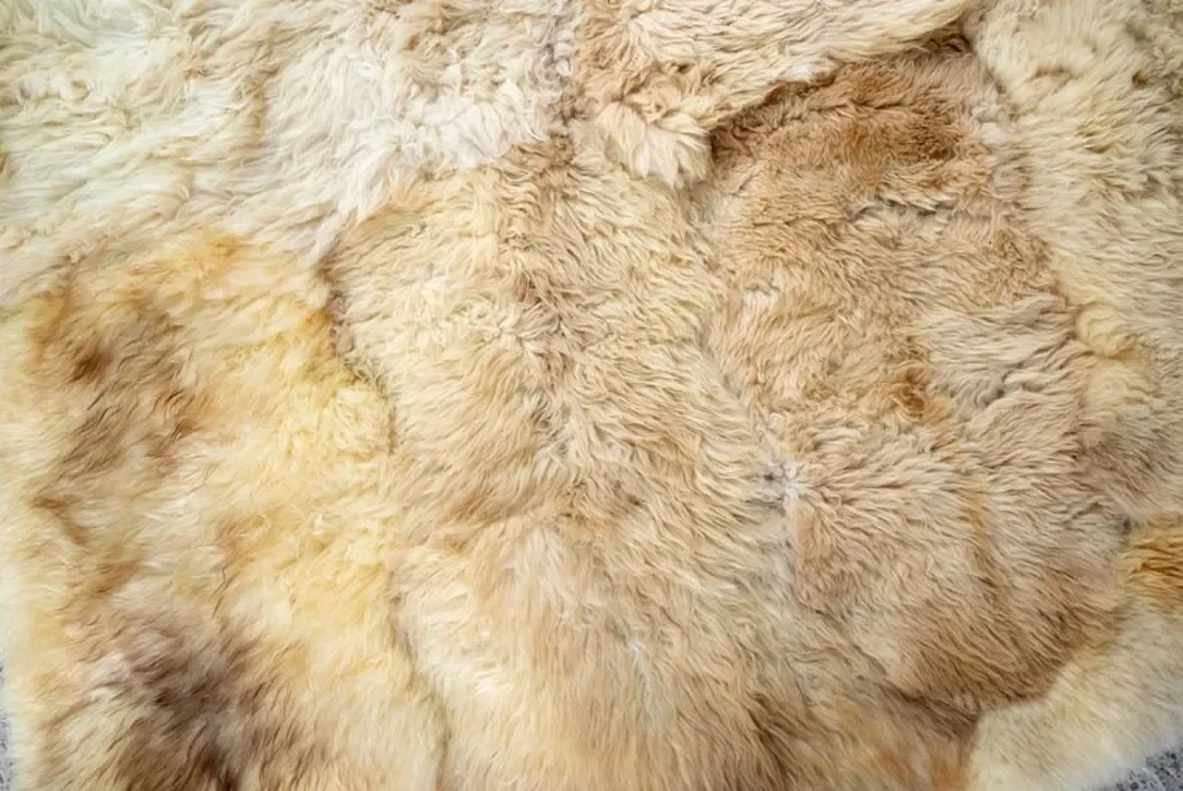 Rosie by Wol Society, a honey and wheat sheep skin rug with plush pelts