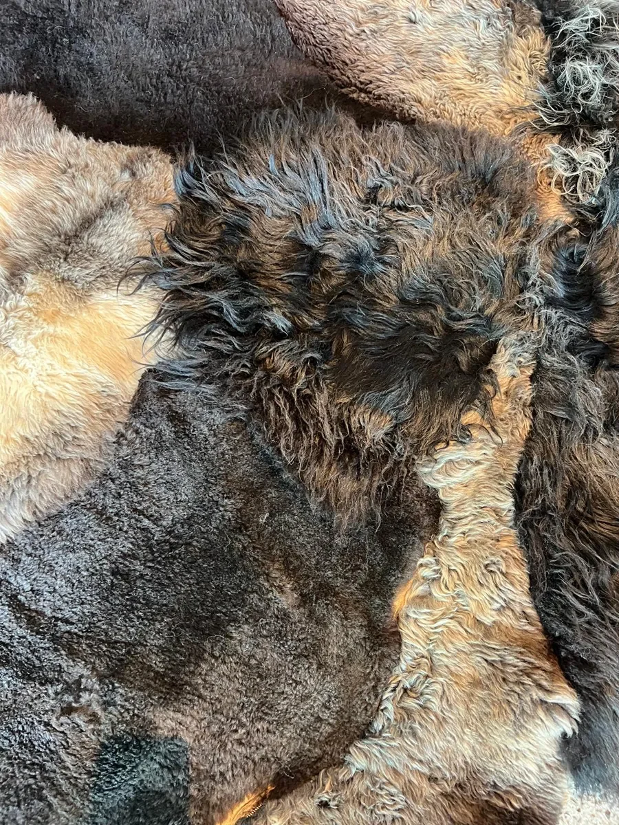 Joske by Wol Society, a large dark brown sheepskin rug with honey, taupe and silvery curly pelts