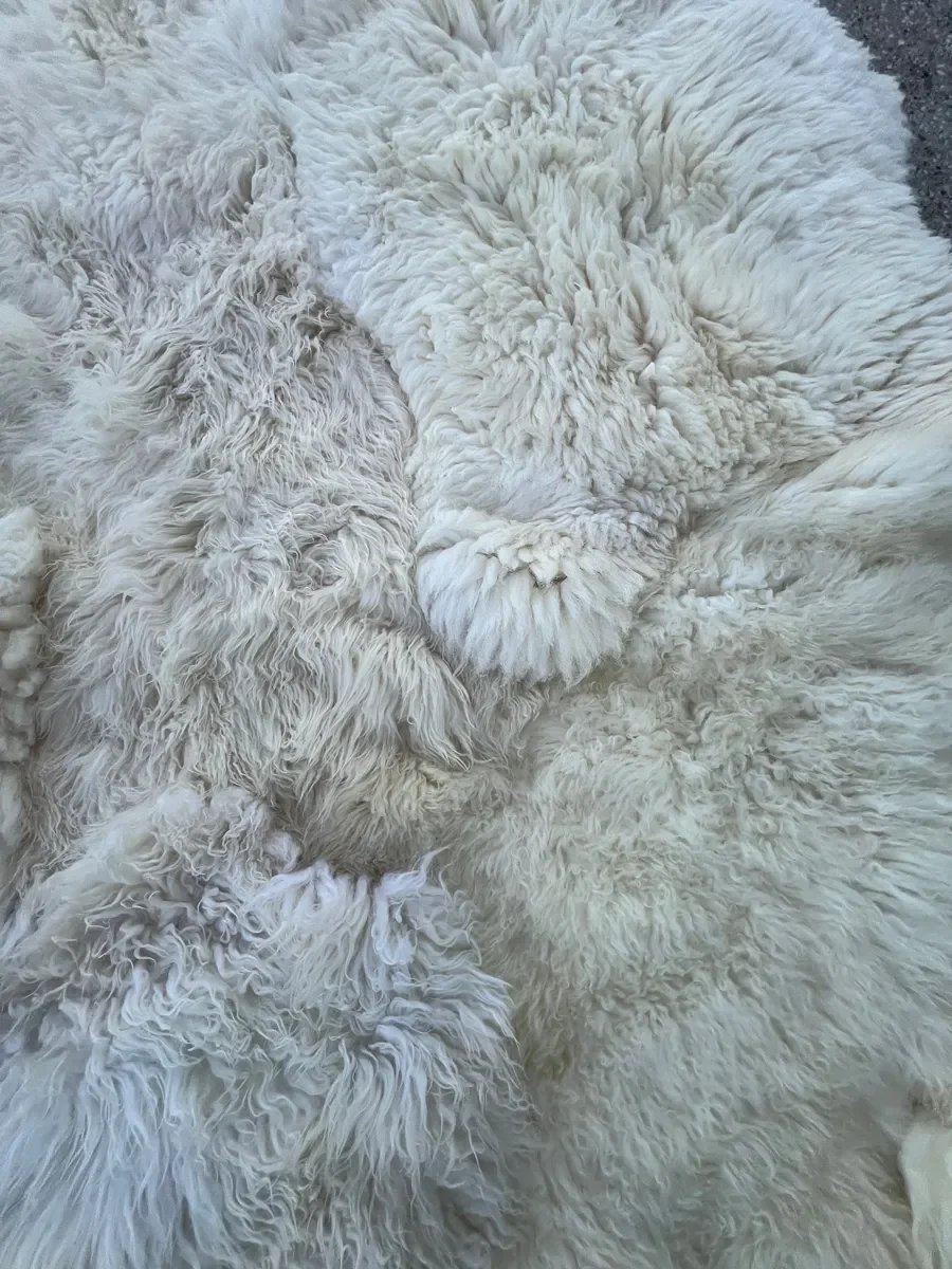 Winnie by Wol Society, a large creamy white sheepskin rug with long, airy fleece