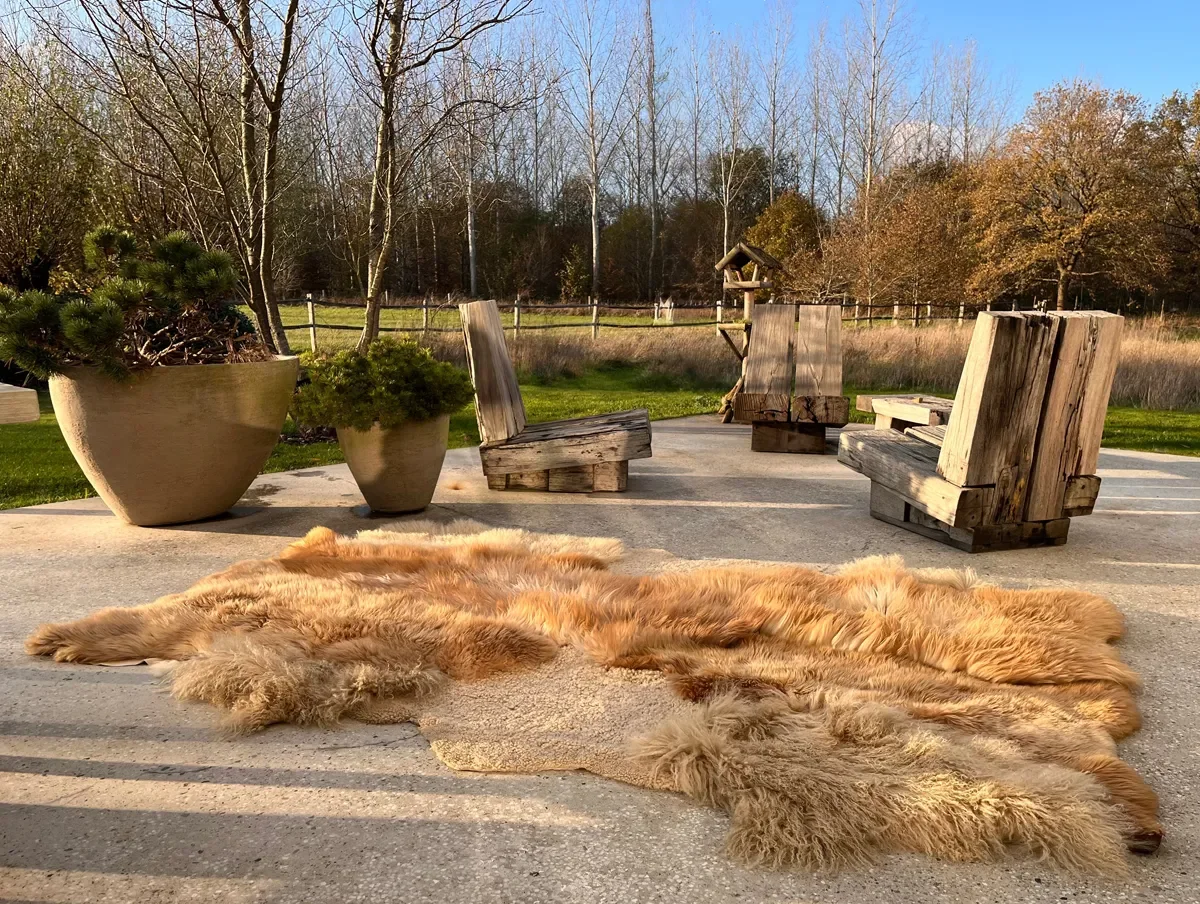 Latte Love by Wol Society, a caramel and honey sheep skin rug with plush fleece around a sandy beige center