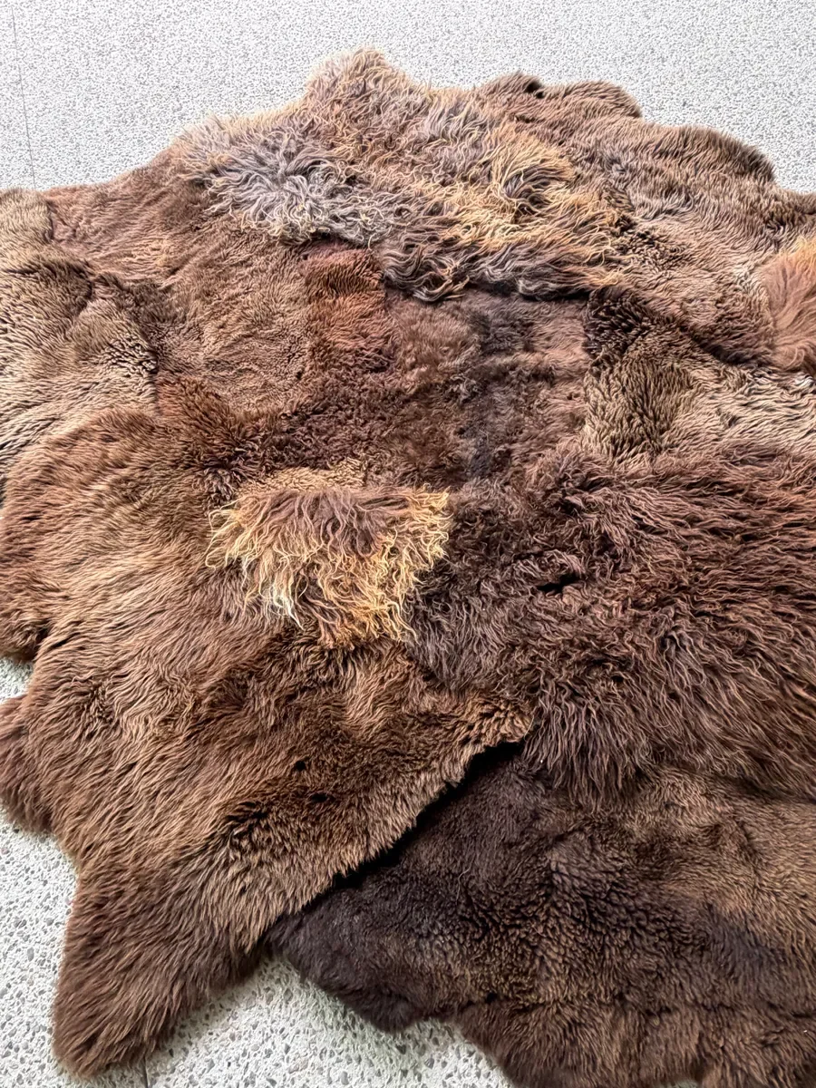 Kai by Wol Society, an ivory and cream sheep skin rug with long, gently wavy fleece