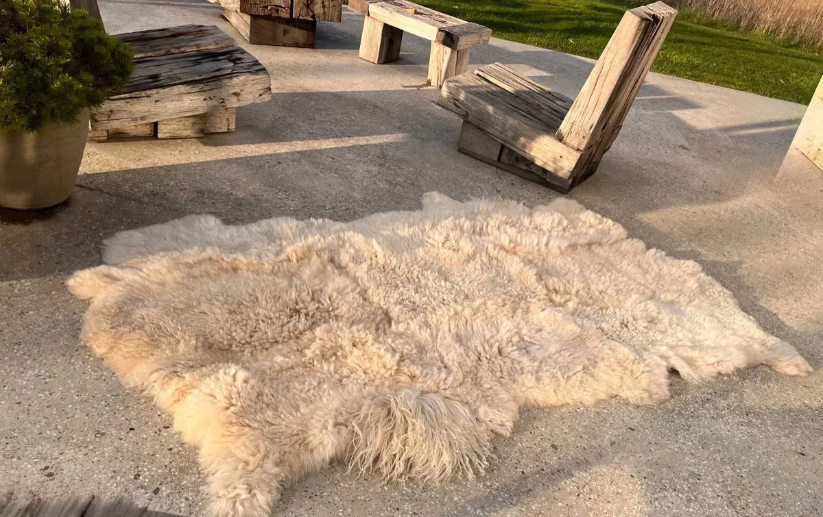 Pixie by Wol Society, a curly oatmeal and cream sheep skin rug with longer locks at the edges