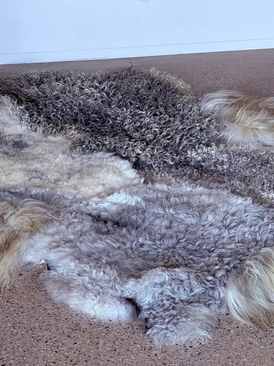 Silver Mist by Wol Society, an ivory and silver grey sheepskin rug with curly, frosted pelts