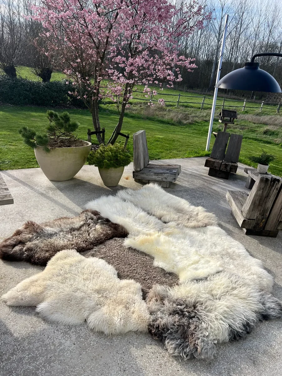 Fluff by Wol Society, a huge ivory and cream sheep skin rug with grey-brown and smoky brown pelts