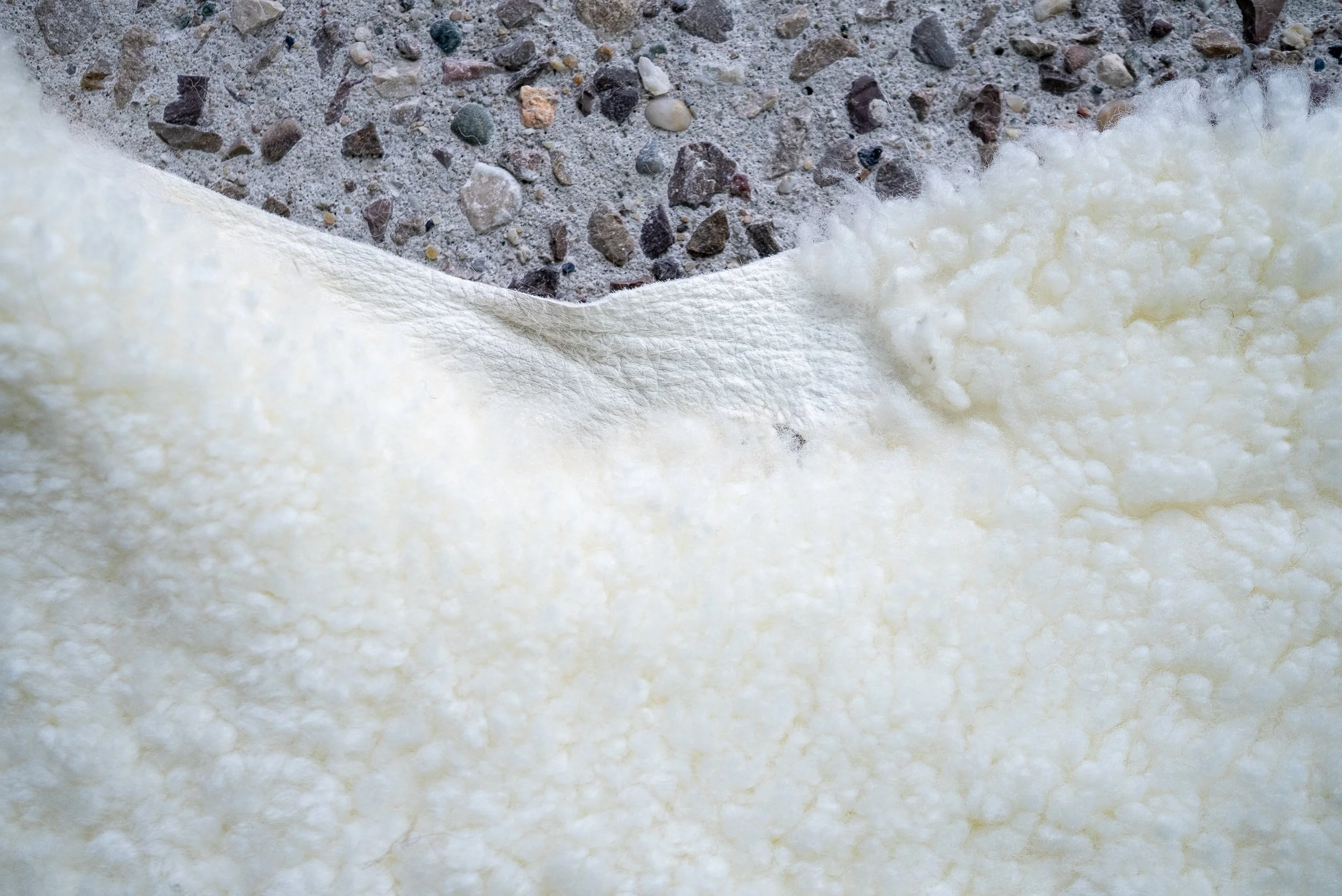 cutie-sheepskin-rug (7).jpg