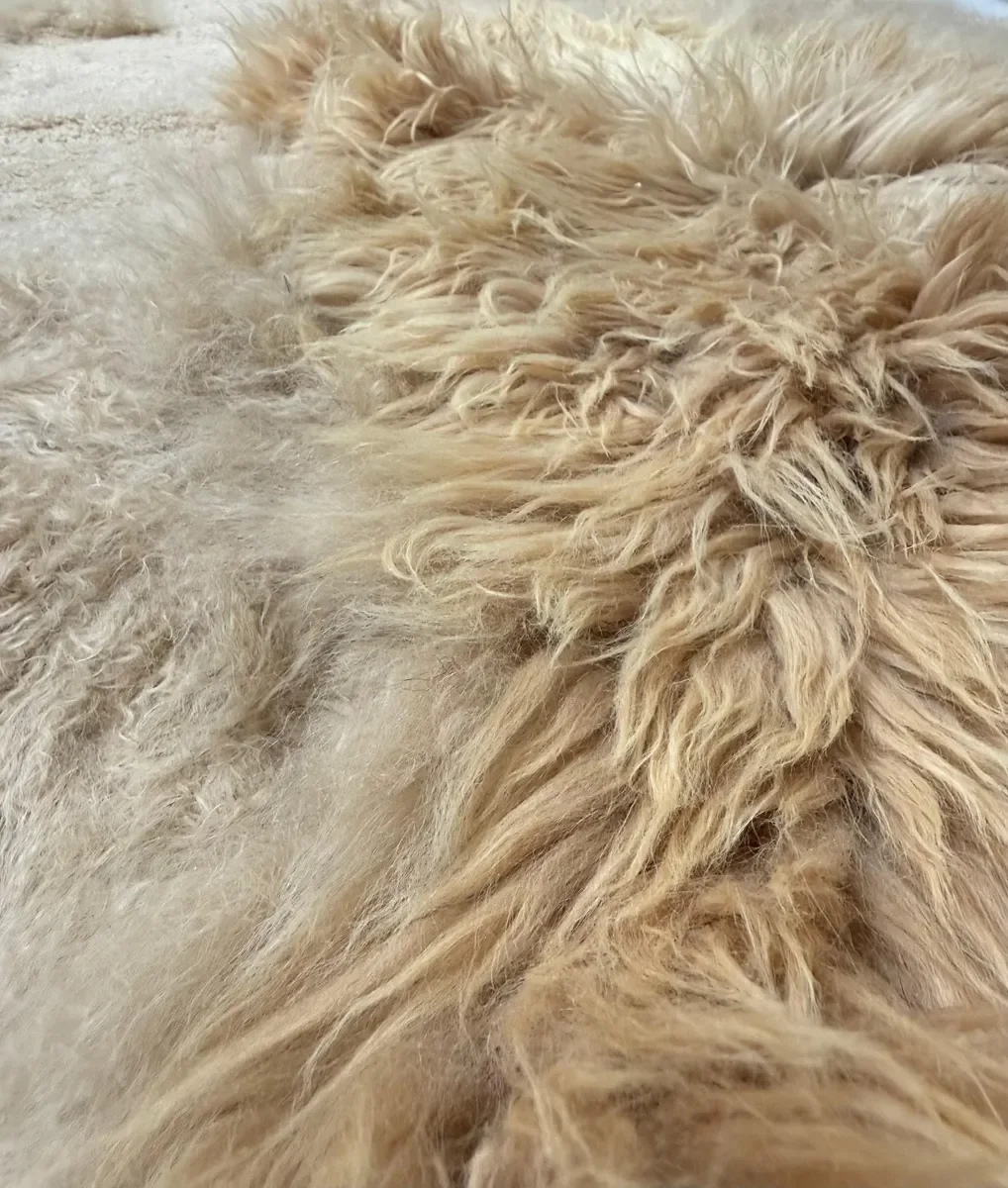 Marcel by Wol Society, a golden sand and caramel sheep skin rug with tousled, silky fleece