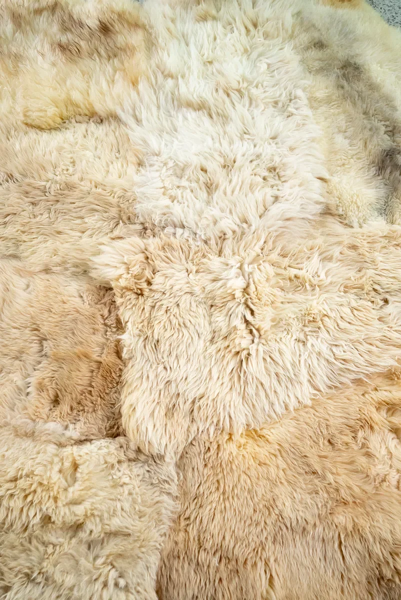Rosie by Wol Society, a honey and wheat sheep skin rug with plush pelts