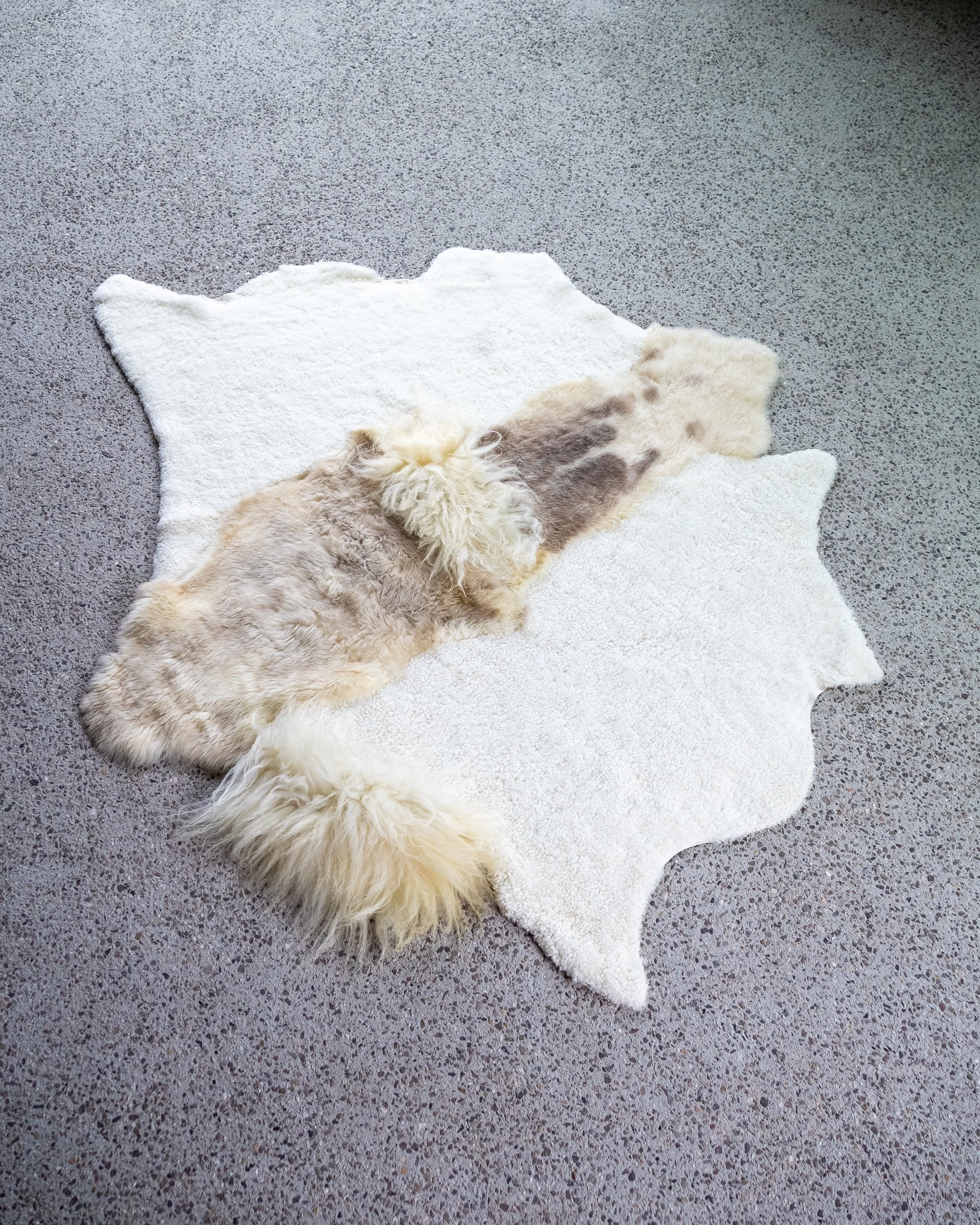 cutie-sheepskin-rug (3).jpg