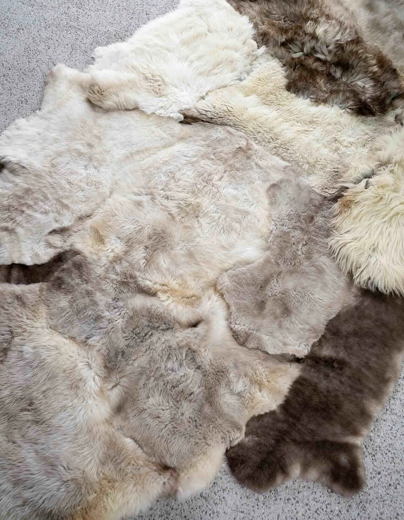 willow sheepskin rug curated by sabine