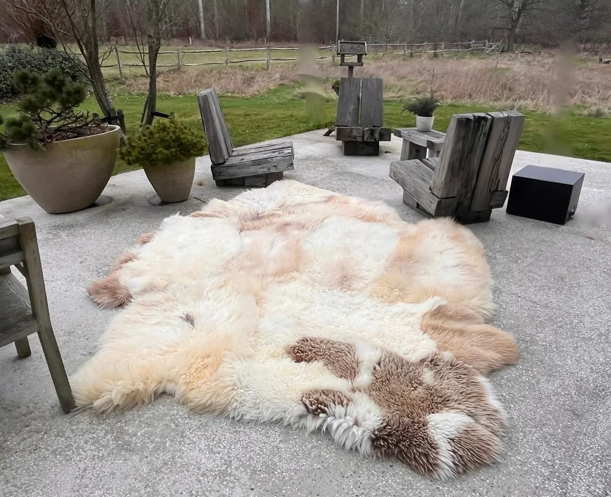 Pipa by Wol Society, a large cream and peach sheep skin rug with taupe-brown accents at one end