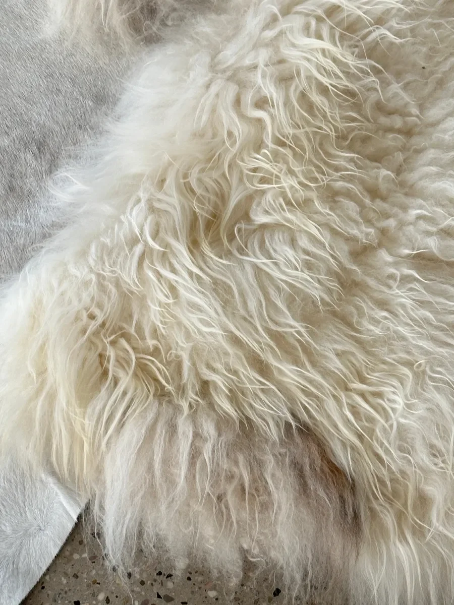 Easy by Wol Society, a pale grey cowhide rug edged with long, fluffy creamy white sheepskin