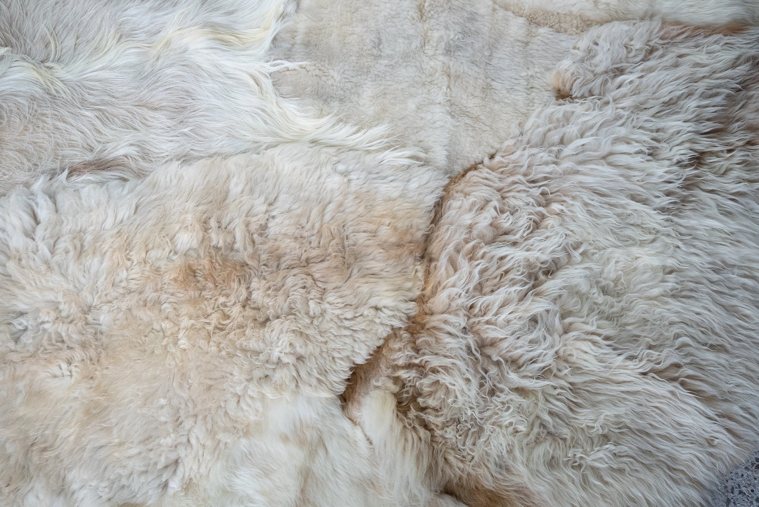 alfie-grey-white-sheepskin-rug (1).jpg
