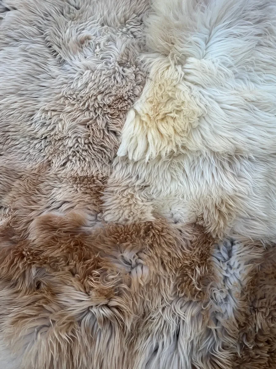 Sweetheart by Wol Society, a shaggy honey and blonde sheep skin rug