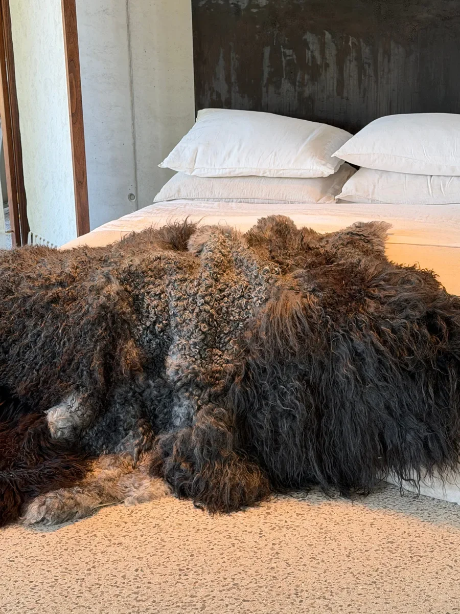 Shadow by Wol Society, a dark sheep skin rug with long black fleece around tight silver grey curls