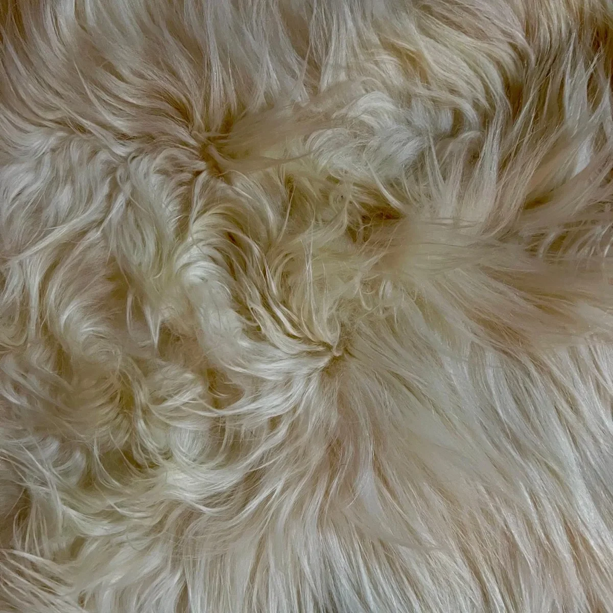 Silence by Wol Society, a buttery ivory sheep skin rug with smooth pelts and long, silky edges