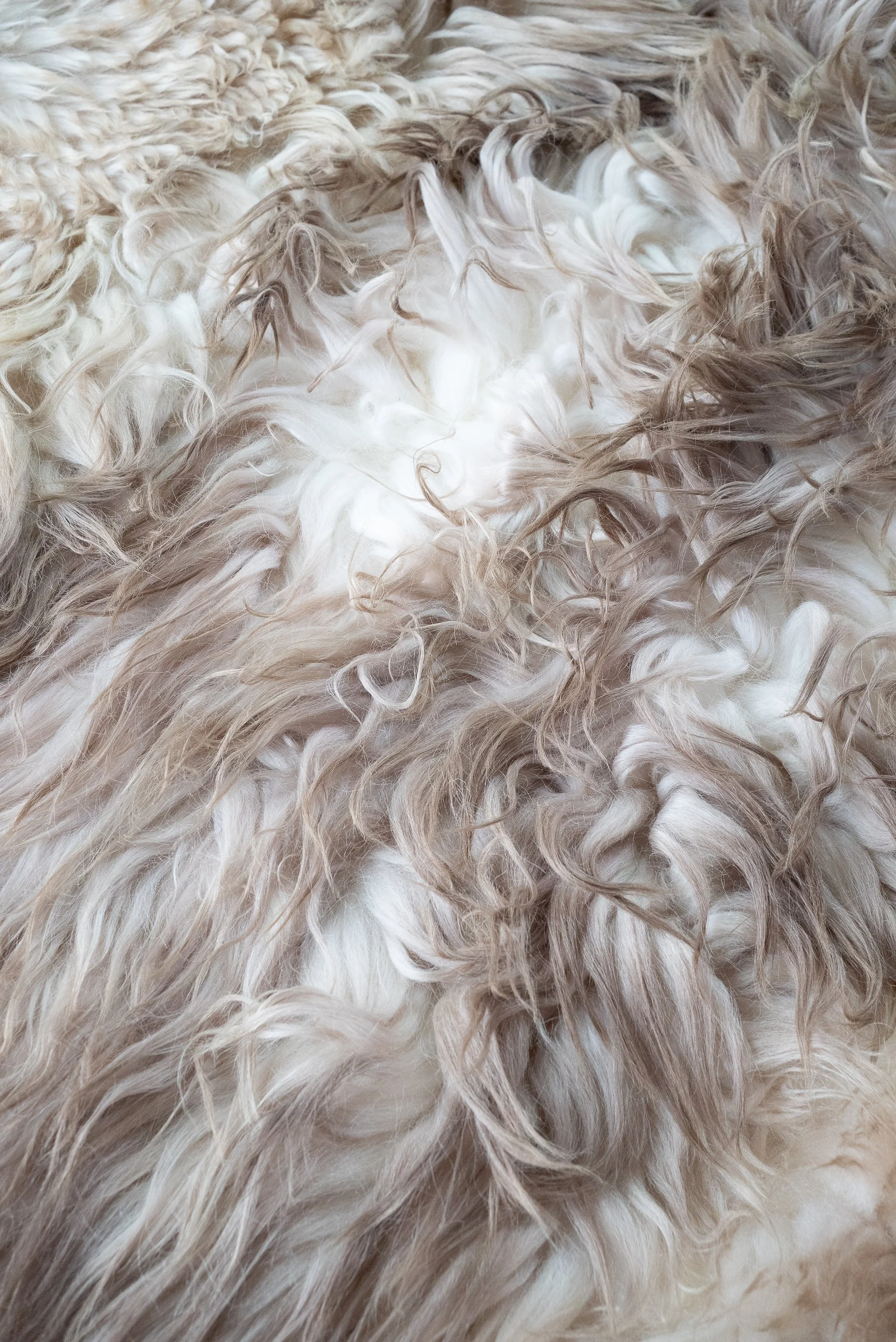 baaa-bara-sheepskin-rug (2).jpg