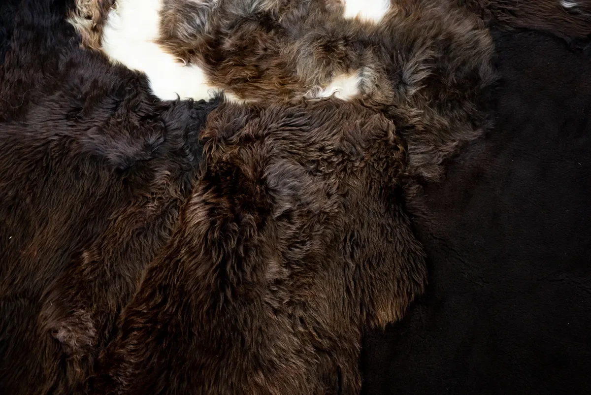 Titan by Wol Society, a dark brown sheepskin rug with a swirl of white at its center