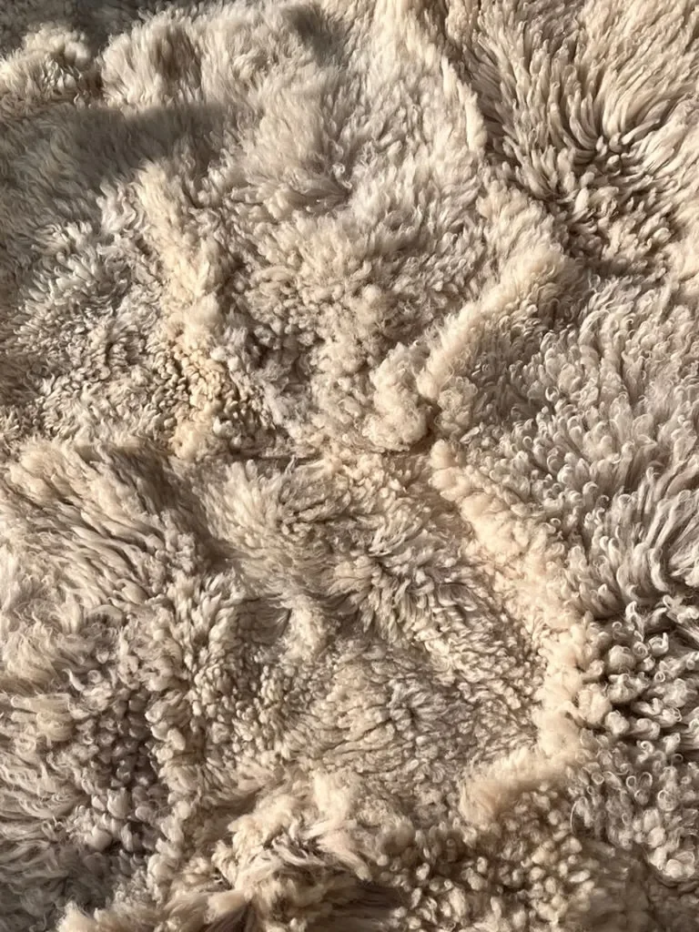 Bubbles by Wol Society, a shaggy cream sheep skin rug with curly, voluminous fleece
