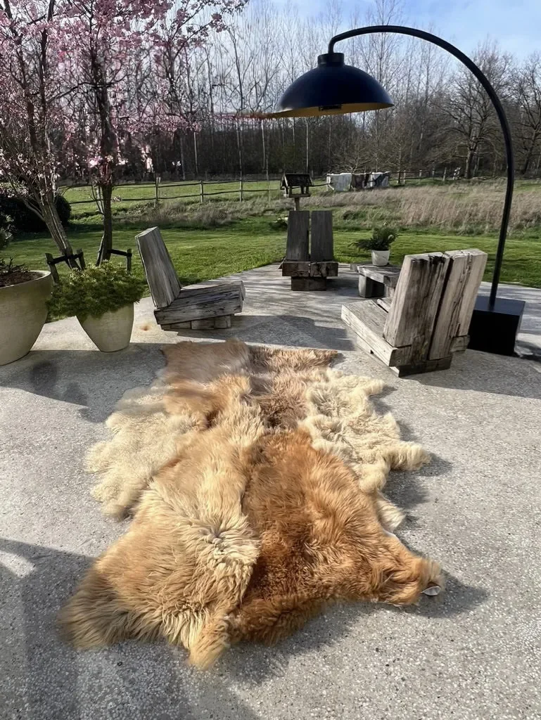 Punch by Wol Society, a golden honey and caramel sheep skin rug with lighter sandy pelts