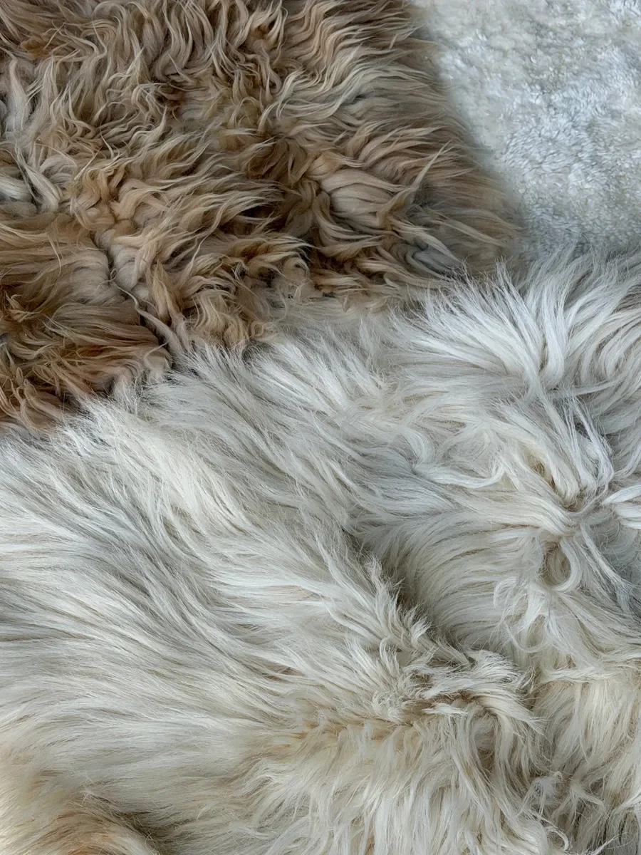 Yuto by Wol Society, a creamy white sheepskin rug with one sandy taupe pelt
