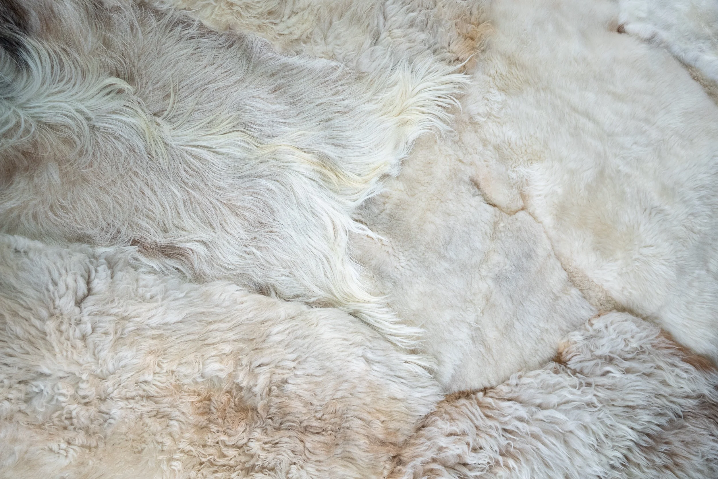 alfie-grey-white-sheepskin-rug (10).jpg