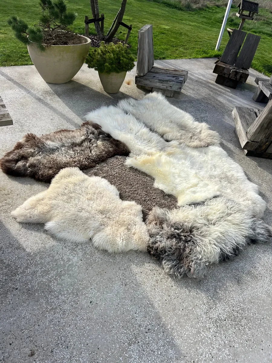 Fluff by Wol Society, a huge ivory and cream sheep skin rug with grey-brown and smoky brown pelts