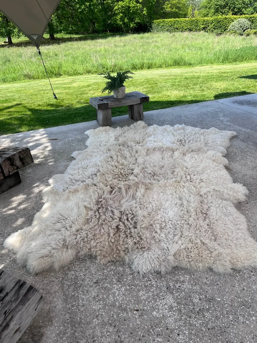 Odette by Wol Society, a curly ivory Heidsnucke sheep skin rug with dense locks