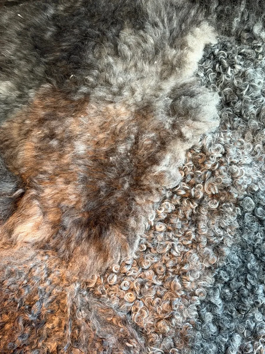 Shadow by Wol Society, a dark sheep skin rug with long black fleece around tight silver grey curls
