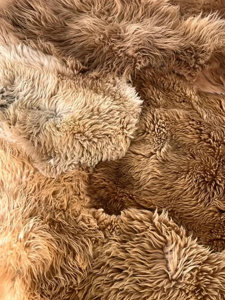 Mountain Hugs by Wol Society, a caramel and honey Heidsnucke sheep skin rug with plush fleece