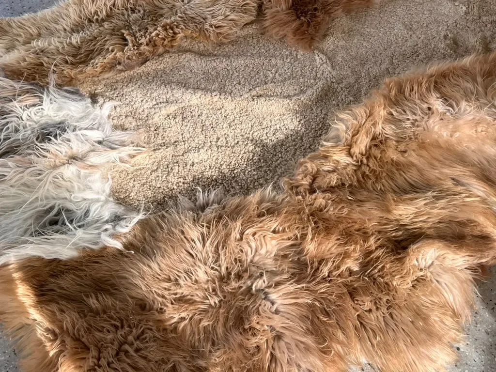 Big Dream by Wol Society, a giant sheepskin rug in caramel and cream with long, silky fleece