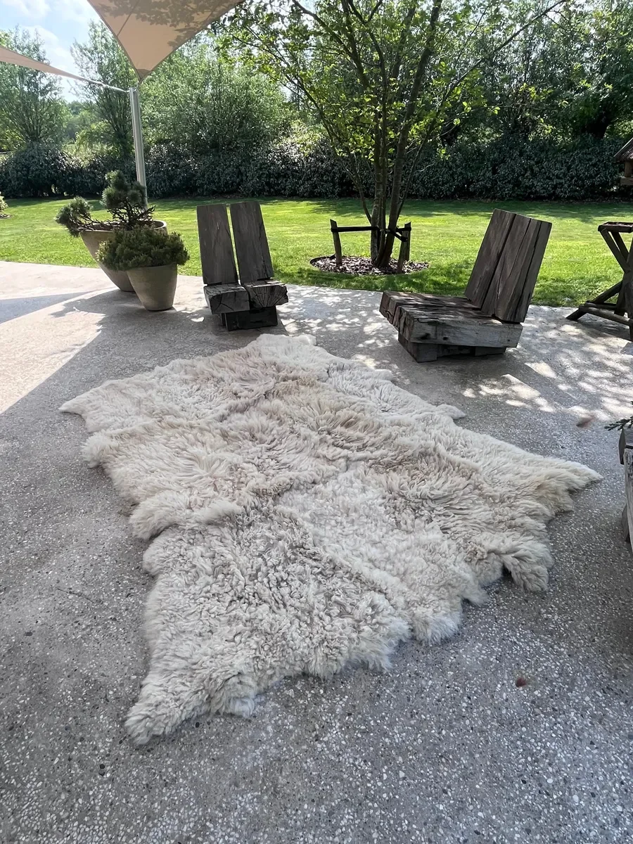 Odette by Wol Society, a curly ivory Heidsnucke sheep skin rug with dense locks